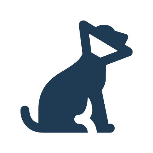 Illness & Injury Care