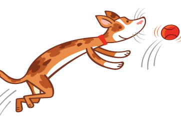 Hannah Membership Benefits