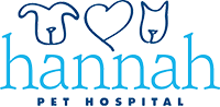Hannah The Pet Society