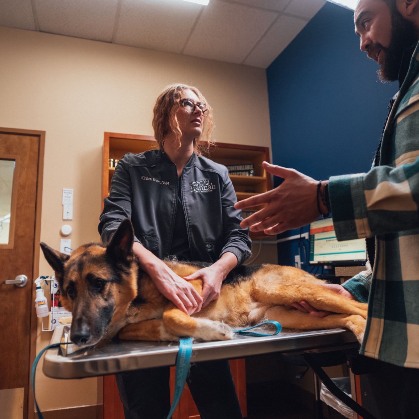 A Hannah veterinarian examining a German Shepherd while the pet parent looks on