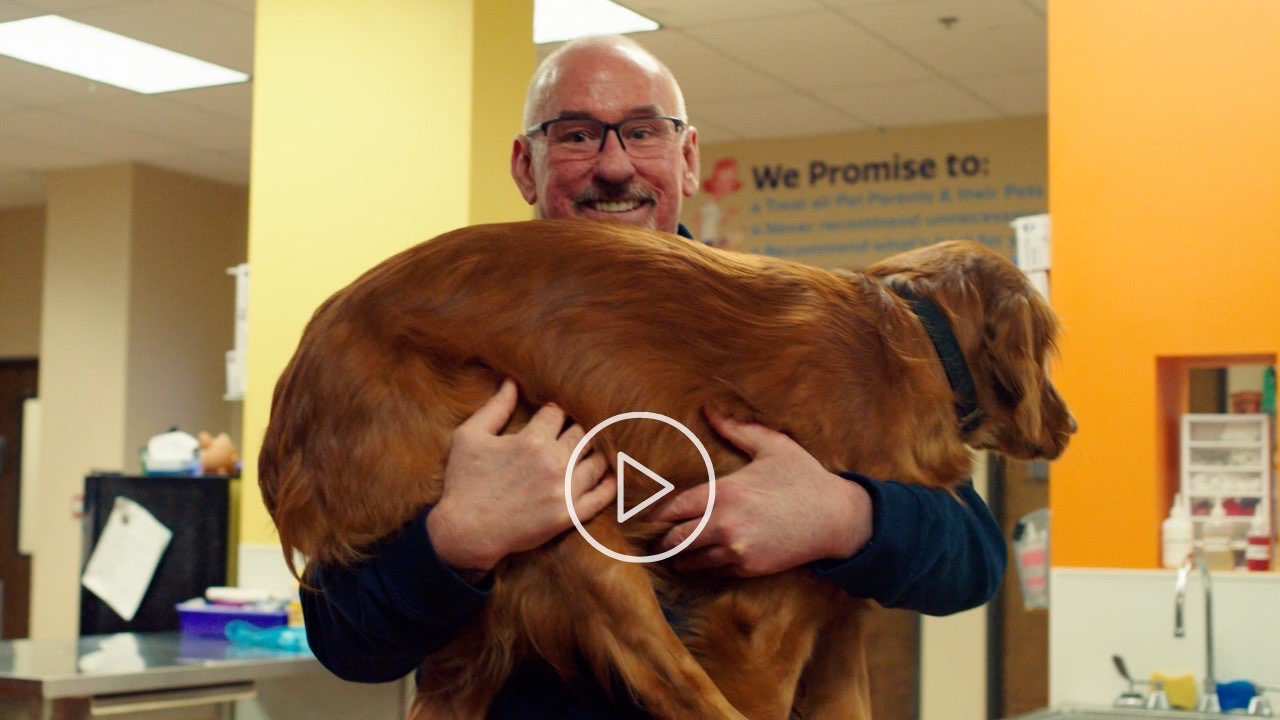 Dr. Joshua Horner, Chief Medical Officer, on Total Lifetime Care at Hannah Pet Hospital